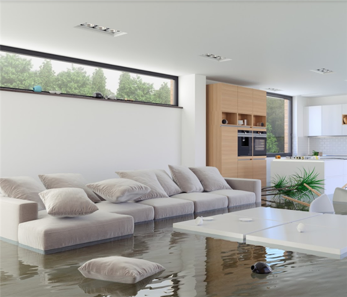 a flooded living room with water covering the floor and furniture floating around